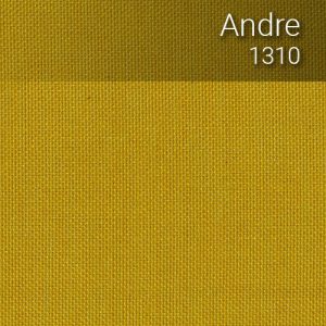 andre_1310