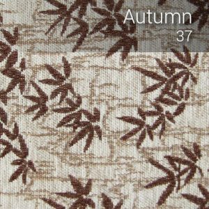 autumn_37