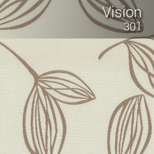 vision_301