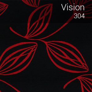 vision_304