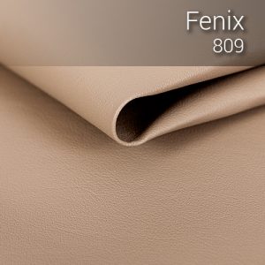 fenix_809