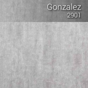 gonzalez_2901