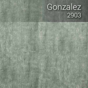 gonzalez_2903