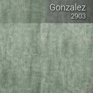 gonzalez_2903