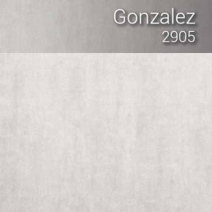gonzalez_2905