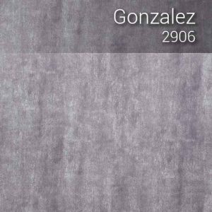 gonzalez_2906