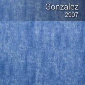 gonzalez_2907