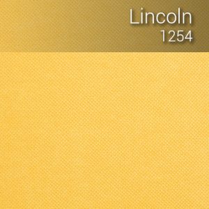 lincoln_1254