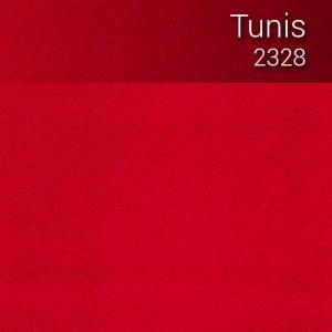 tunis_2328