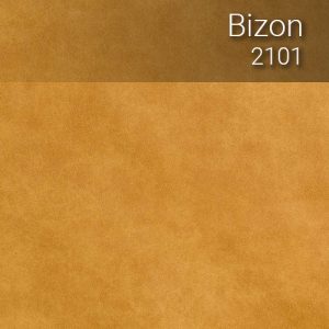 bizon_2101