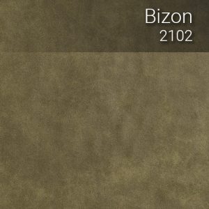 bizon_2102