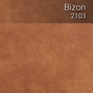 bizon_2103