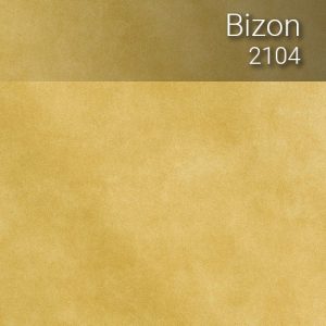 bizon_2104