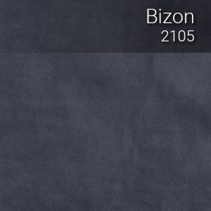 bizon_2105