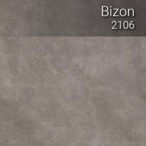 bizon_2106
