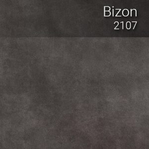 bizon_2107