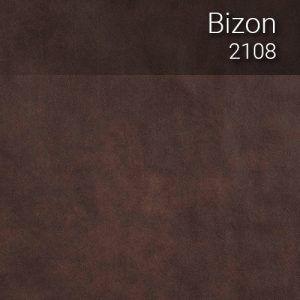 bizon_2108
