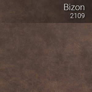 bizon_2109