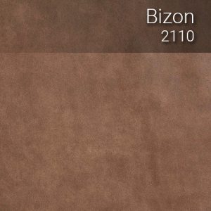 bizon_2110