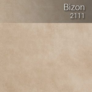 bizon_2111