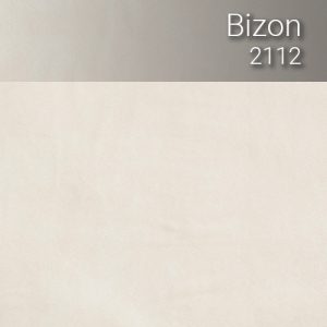 bizon_2112
