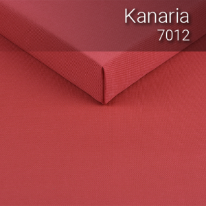 kanaria_7012
