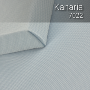 kanaria_7022
