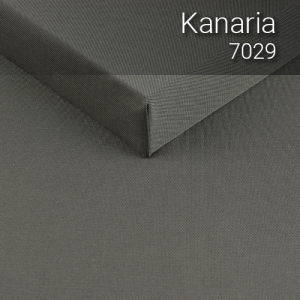 kanaria_7029