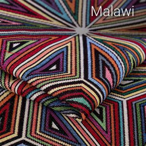 malawi_model