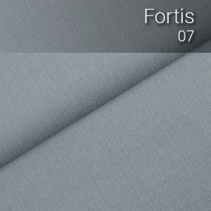 fortis_07