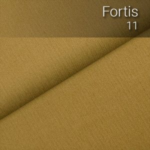 fortis_11