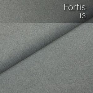 fortis_13