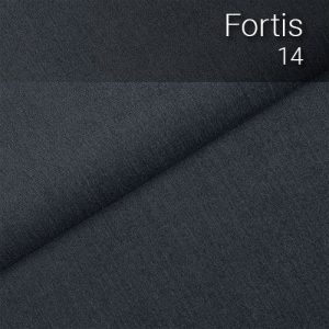 fortis_14