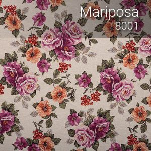 mariposa_8001