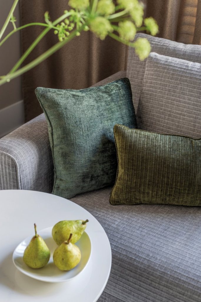 Domafon Catifea pentru canapea: cum alegi și întreții corect Domafon Catifea pentru canapea: cum alegi și întreții corect