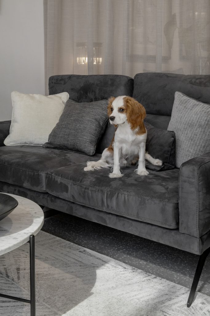Domafon Tapiserie canapea: ghid rapid de materiale – familie cu copii, animale, trafic intens Tapiserie canapea: ghid rapid de materiale – familie cu copii, animale, trafic intens
