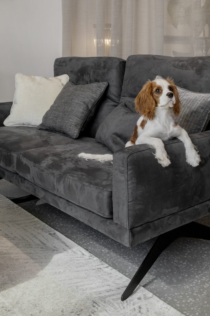 Domafon Catifea pentru canapea: cum alegi și întreții corect Domafon Catifea pentru canapea: cum alegi și întreții corect